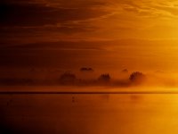 225 - MORGENNEBEL - LEIMANN DIRK-OLAF - belgium